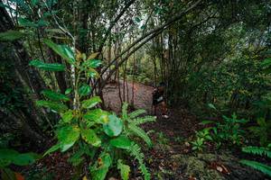 BIB: 
                            <button type="button" onclick="openModal(26196440)" class="btn btn-primary btn-sm float-right btn-popup" data-toggle="modal" data-target=".modal-high-quality">
                        <i class="fas fa-shopping-cart"></i> Add to Cart
                    </button>
                                            <button type="button" onclick="isThisMe(26196440, true)" class="btn btn-success btn-sm float-right btn-popup btn-isme hidden" data-toggle="tooltip" data-placement="bottom" title="นี่คือรูปของคุณใช่ไหม คลิกที่นี่เพื่อเอาเข้าอัลบั้ม">
                        <i class="fas fa-plus"></i> Add to album
                    </button>
                    <button type="button" onclick="isThisMe(26196440, false)" class="btn btn-warning btn-sm float-right btn-popup btn-isnotme hidden">
                        <i class="fas fa-ban"></i> Remove from album
                    </button>